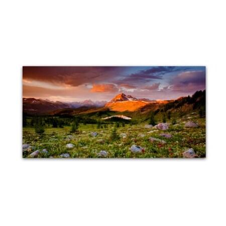 Trademark Fine Art Dan Ballard 'Emerging Glory' Canvas Art, 24x47 ALI7995-C2447GG